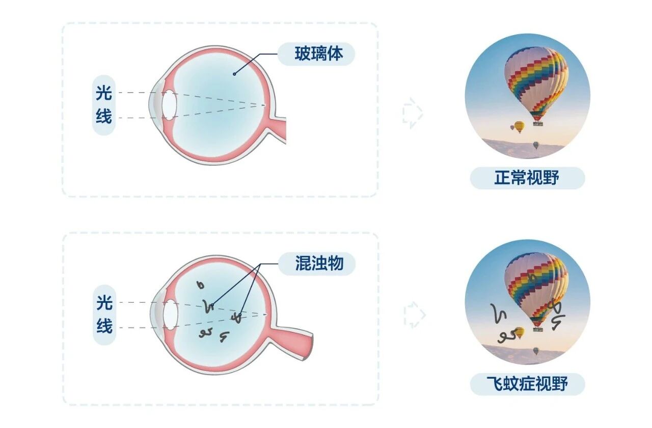 4cf213c0259ad216160a50cdfc8733ae.jpg 4cf213c0259ad216160a50cdfc8733ae.jpg